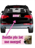custom paper  Bumper sticker car sticker