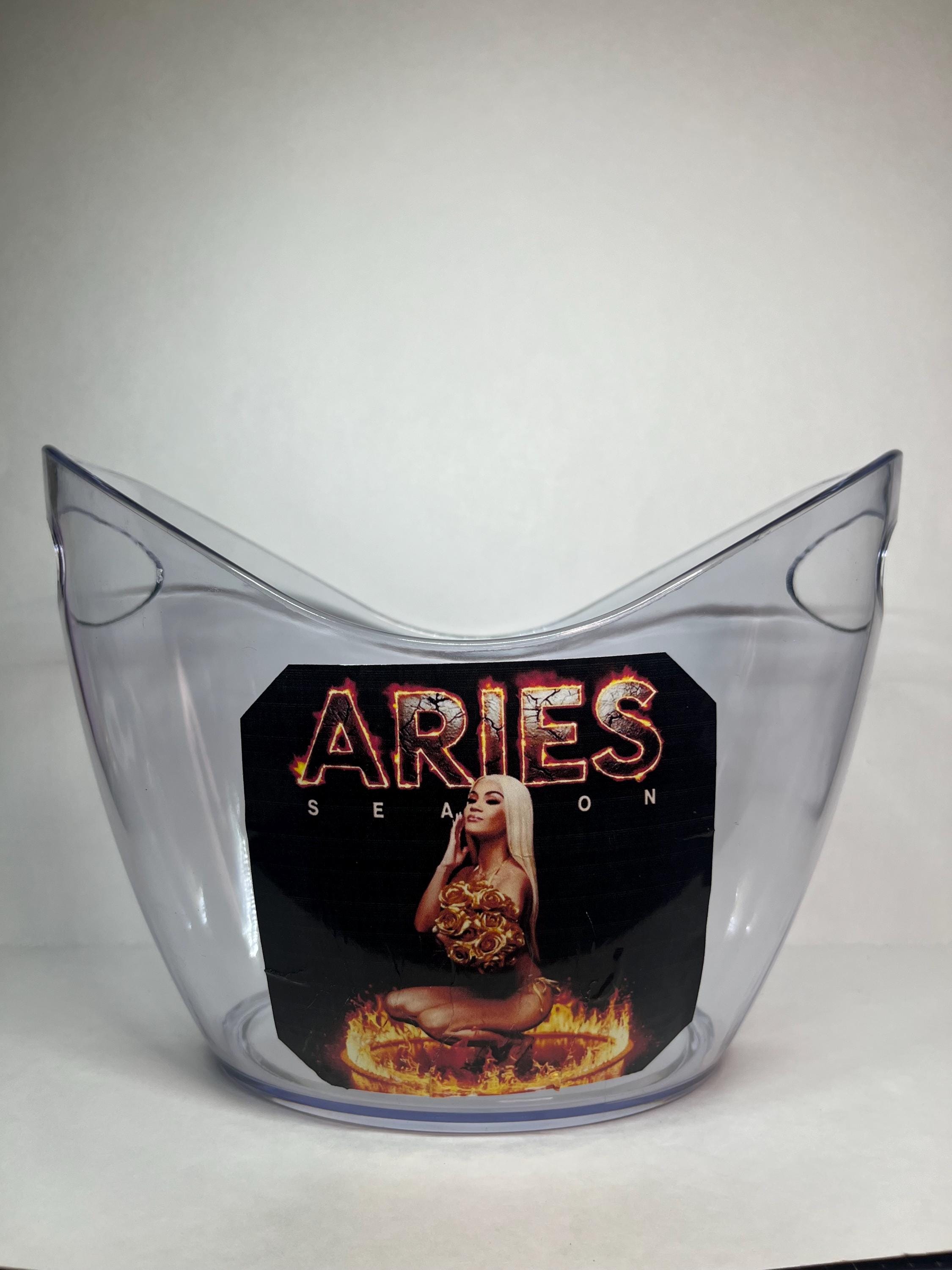 liquor bottle holder bucket